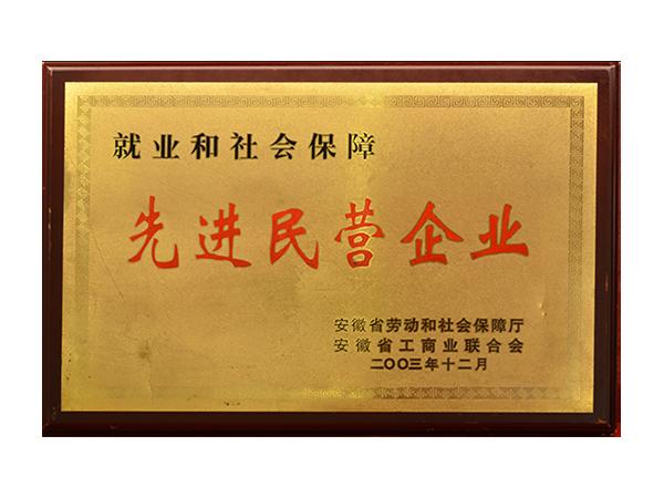先進(jìn)民營企業(yè)